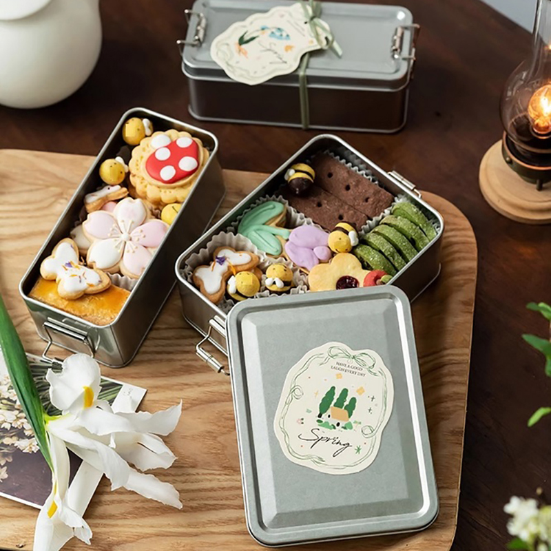 Rechthoekige blikken doos voor - Tin Container Lid recensie en prijs
